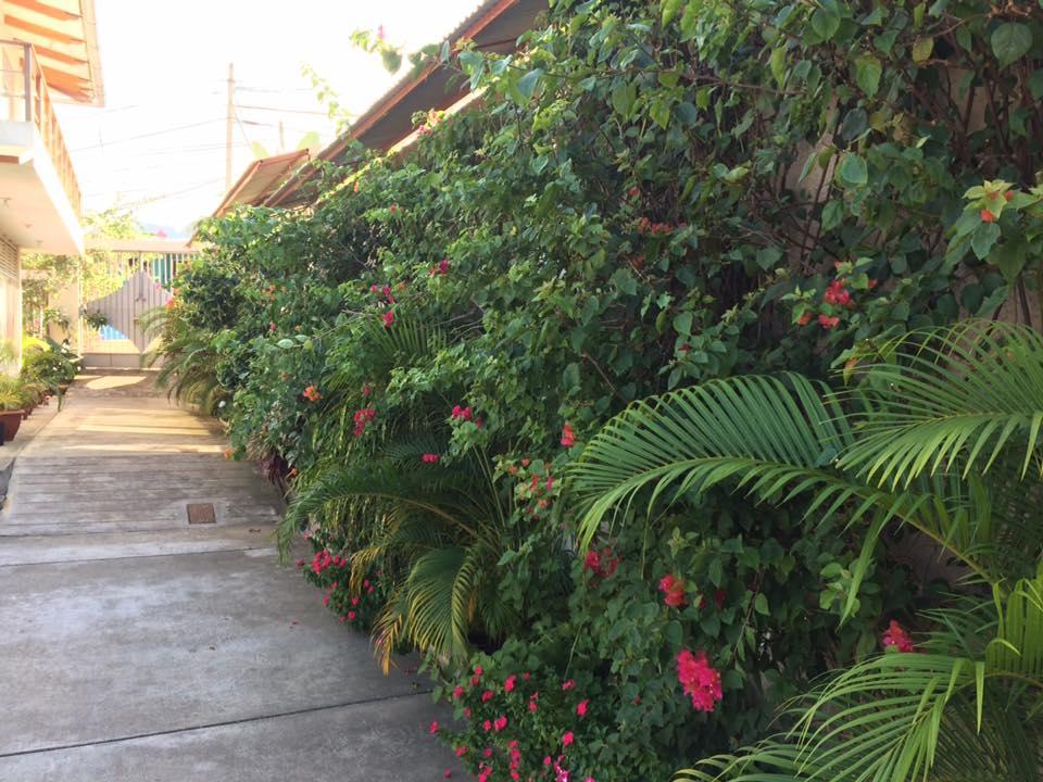 La Casa Del Italiano Bed & Breakfast Tarapoto Eksteriør bilde